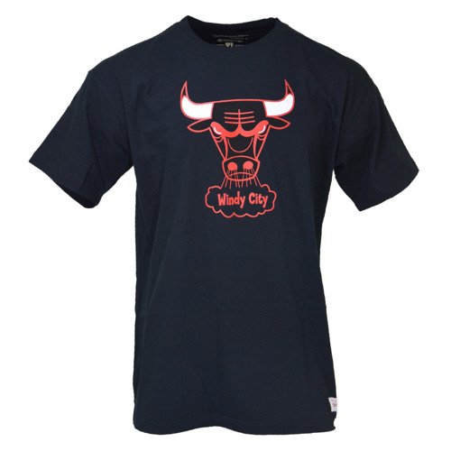 Mitchell & Ness NBA Chicago Bulls Team Logo T-Shirt | Clothing \ Casual ...