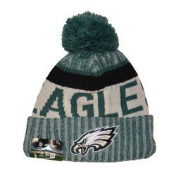 nfl winter hat