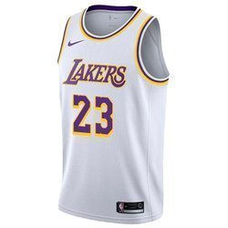 kids lebron james lakers jersey