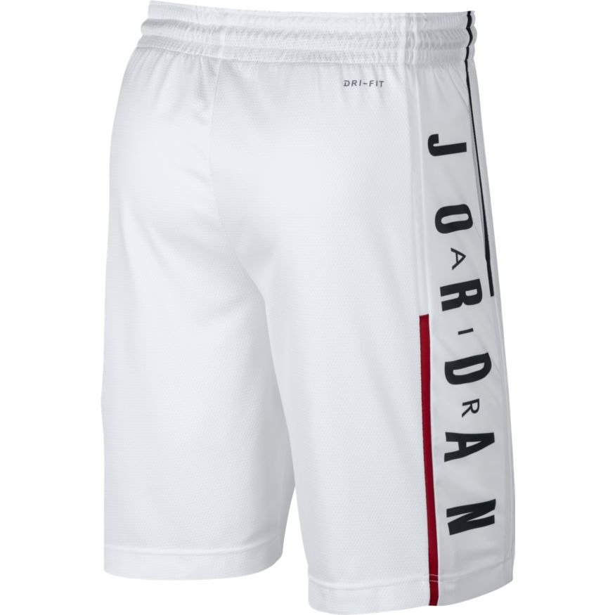 Air Jordan Rise Graphic Basketball Shorts 888376100 Clothing