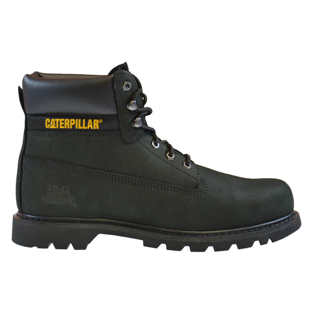 Trapery caterpillar colorado sale