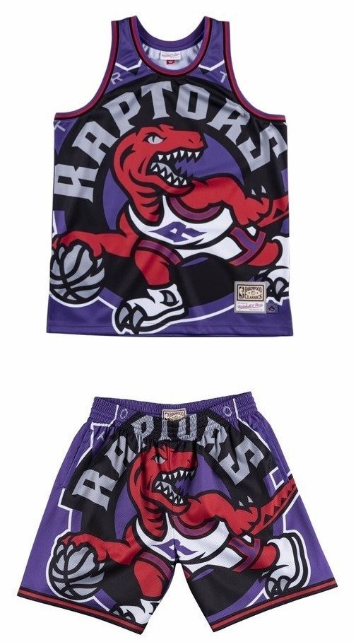 raptors jersey and shorts