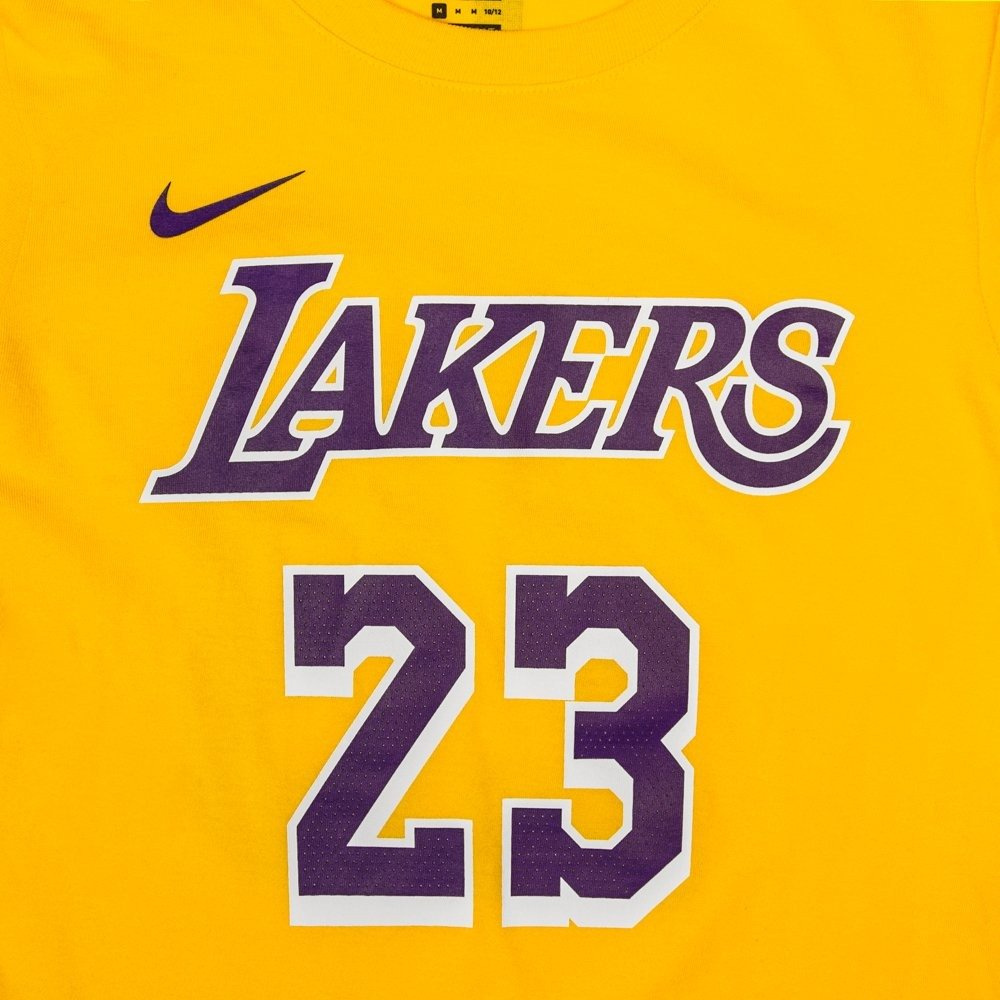 nike lebron junior