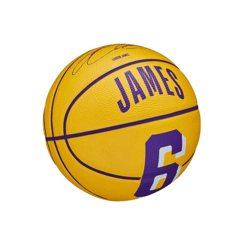 Wilson NBA LeBron James Los Angeles Lakers Mini Basketball Ball - WZ4007201XB