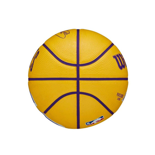 Wilson NBA LeBron James Los Angeles Lakers Mini Basketball Ball - WZ4007201XB