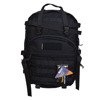 Wisport Whistler II 35 Black Backpack