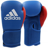 Boxing Set Pear Bag EVERLAST + Adidas Gloves and Shields for Kid's