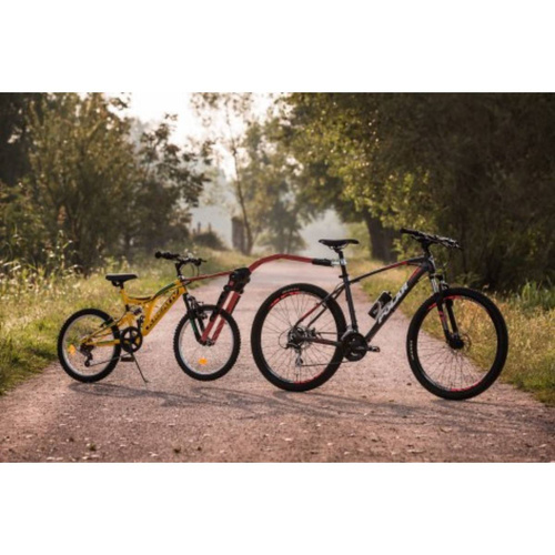 Peruzzo Trail Angel Bike Trailer - PZ-300/R