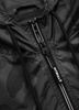 Pit Bull West Coast Athletic Logo Windbreaker Jacket - 523001901504
