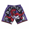 Mitchell & Ness NBA Big Face Toronto Raptors Jersey + Shorts