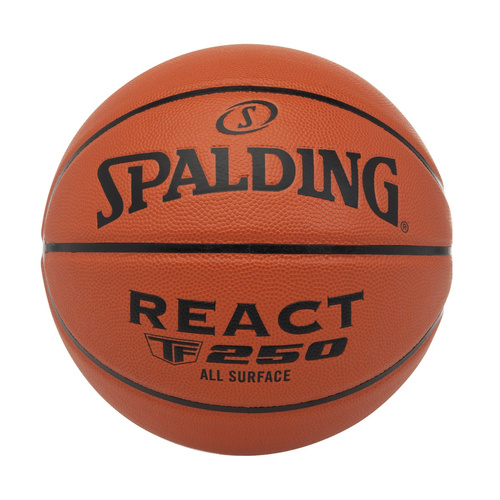 Portable Basketball System MASTER Acryl Board